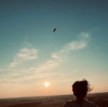 ein Bild aus dem Album