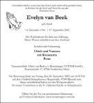 eine Anzeige