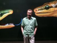 ein Bild aus dem Album